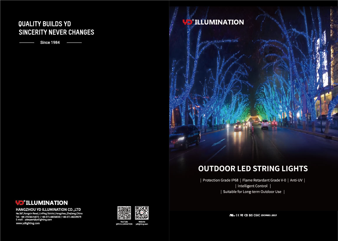 Outdoor LED String Lights